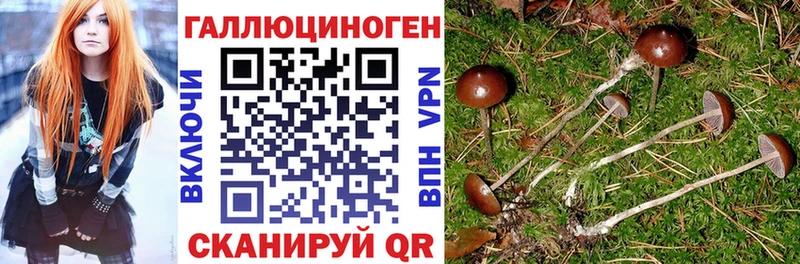 Галлюциногенные грибы ЛСД  Печора 